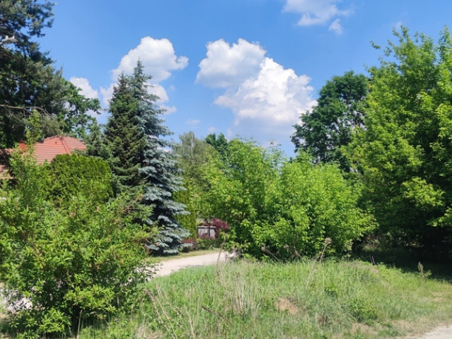 Działka Sprzedaż - Wiktorów